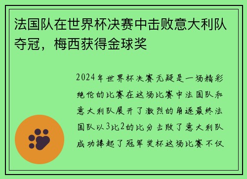 法国队在世界杯决赛中击败意大利队夺冠，梅西获得金球奖